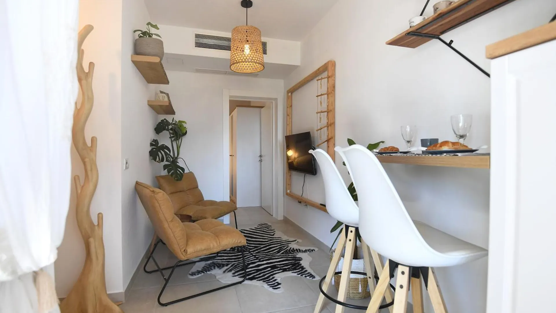 Apartments Camellia Zadar Croatia