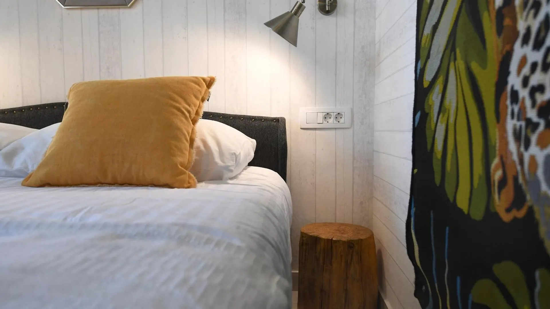 Apartments Camellia Zadar Croatia