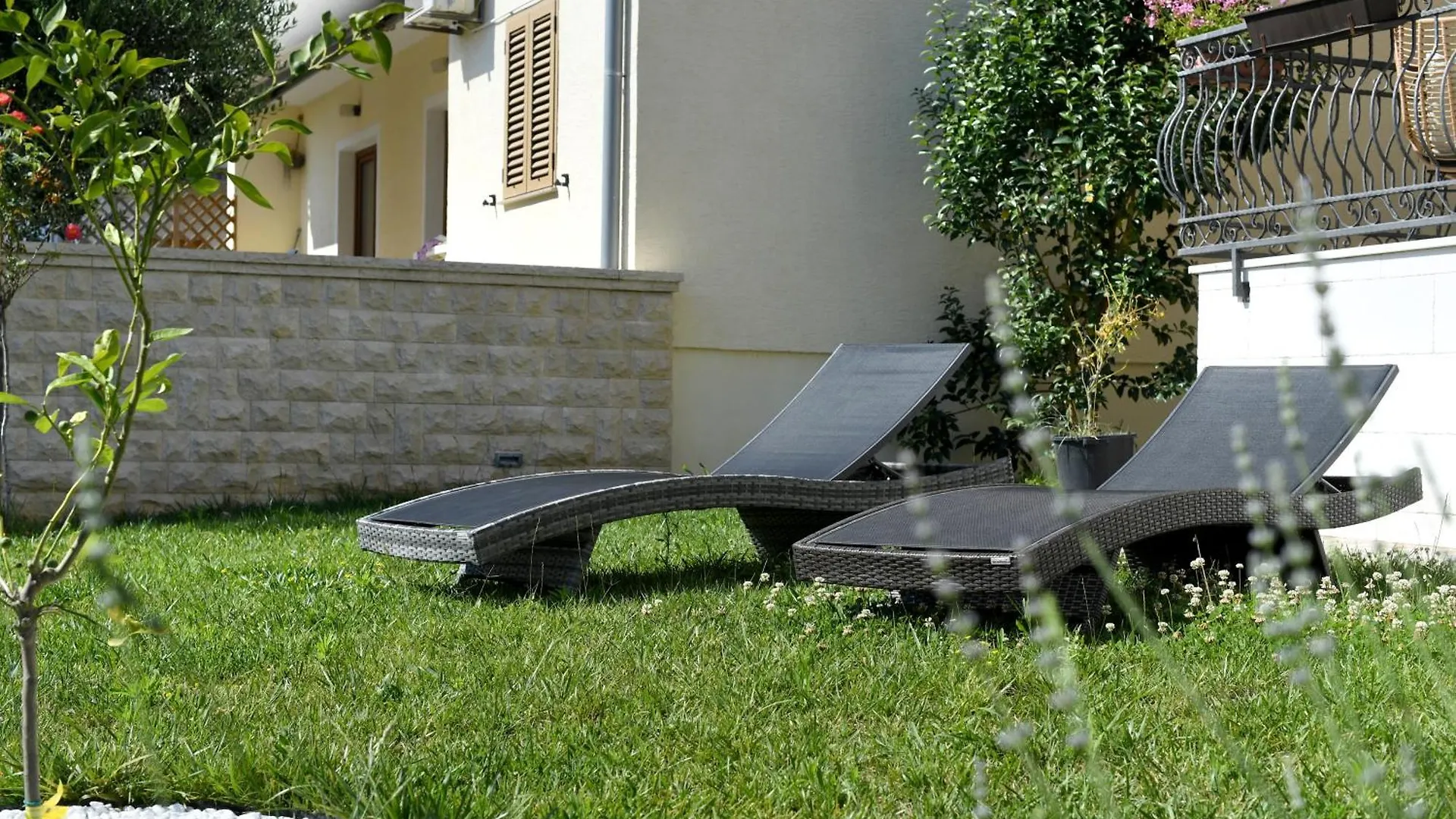 Apartments Camellia Zadar Croatia